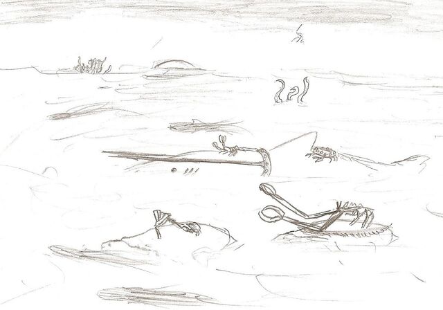 File:Sea Life.jpg