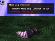 Molebug