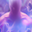 Icon shout master