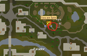 Falador wanted.png