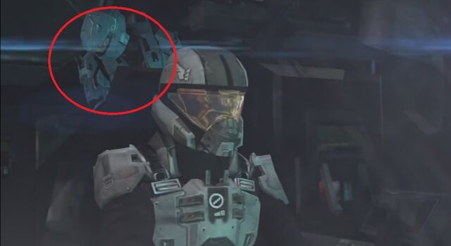 File:Carolina Recon Shoulders.jpg