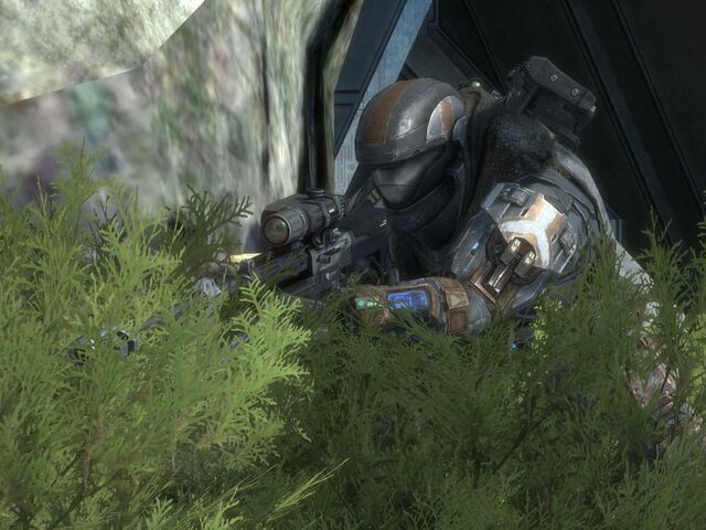 File:Reach 24504484 Full.jpg
