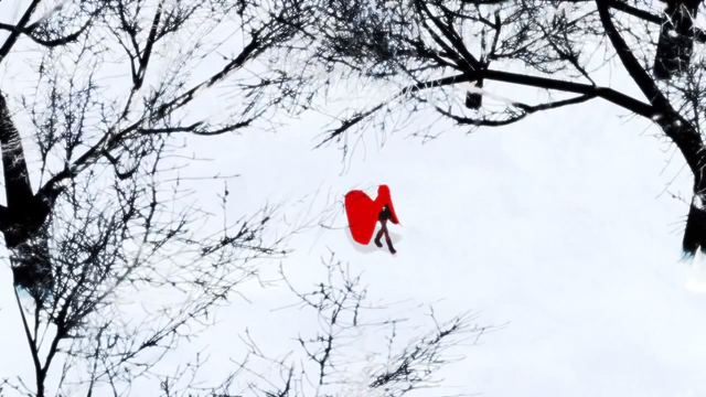 File:Birds Eye.png