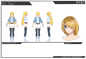 Aria Turnaround