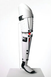 Prosthetic Leg