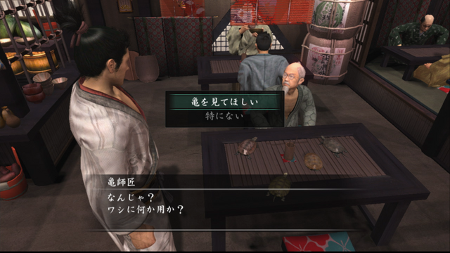 File:Turtle informer - 001.png