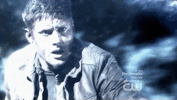 Tumblr mdj9rdPO2p1rd3hhgo6 250.gif