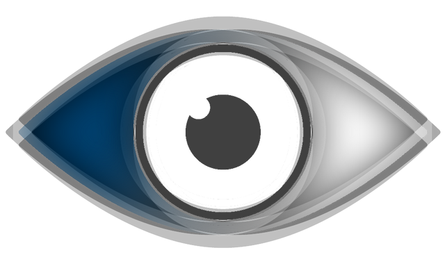 File:BB9 eye.png