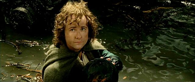 File:Pippin palantir.jpg