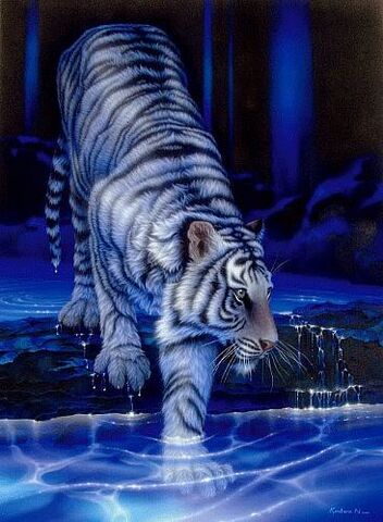 File:Tiger.jpg