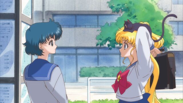 File:Usagi 16.jpg