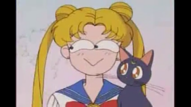 File:Usagi Maguire.png