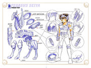 Pegasus Cloth1design