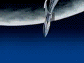 Tumblr static icaro12tw9.gif