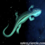 Lagarto-constelacion.jpg
