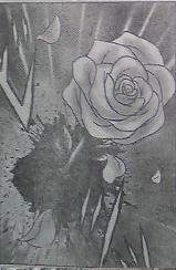 Arquivo:Rosabrancacardinale2.jpg