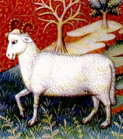 Arquivo:Aries2.jpg