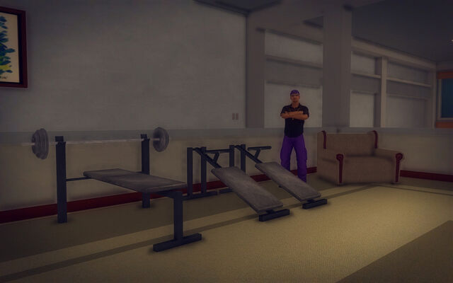 File:Downtown Loft - Modern - gym.jpg