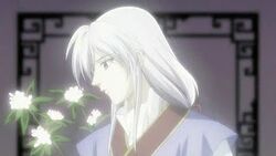 Prince seien