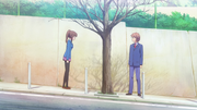 Vlcsnap-2013-04-08-19h25m54s56