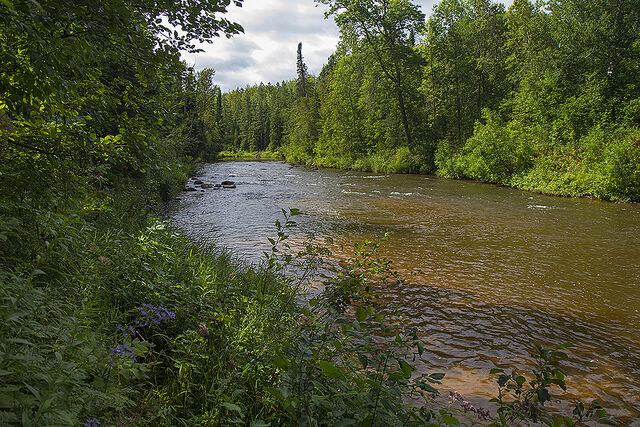 File:412Arena.jpg