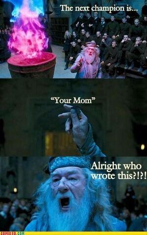 File:Funny-harry-potter-pictures-bacon-wrapped-media-1.jpg