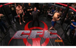 CFC Arena