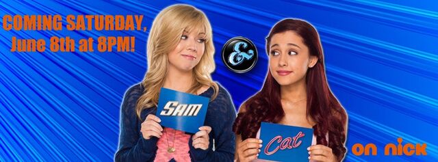 File:Sam adn Cat air.jpg