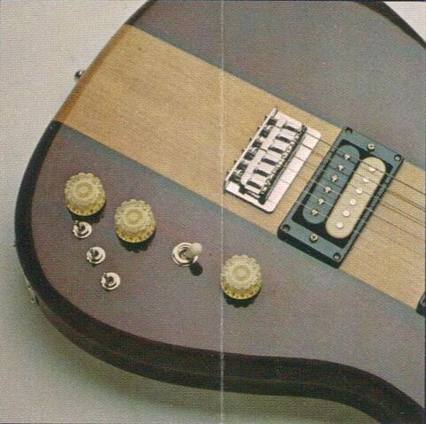File:81 H930 detail.jpg