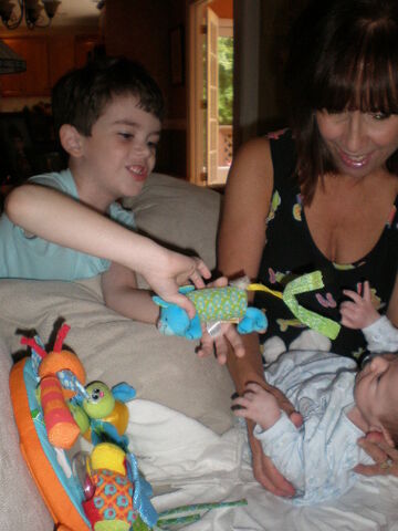 File:The Bugs.jpg