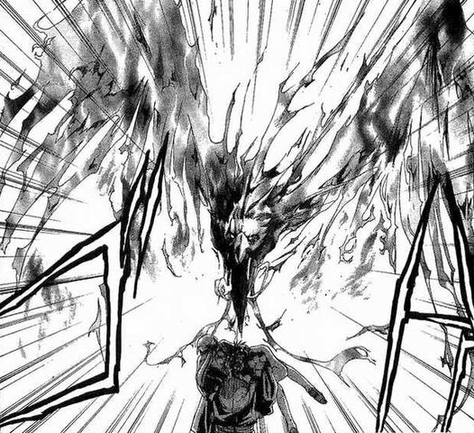 File:Hotaru fake Suzaku.jpg
