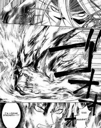 Hotaru flames