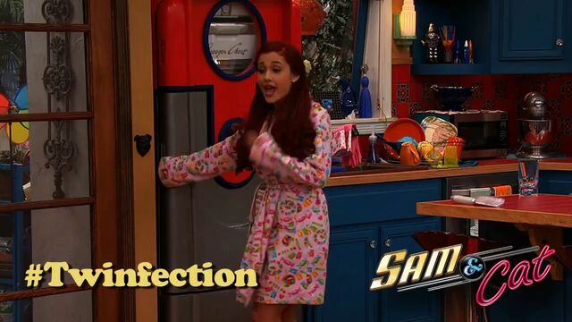 Archivo:SamandCatTwinfectionPicture.mp4 000011092.jpg