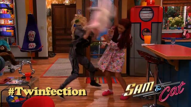 Archivo:SamandCatTwinfectionPicture.mp4 000022685.jpg