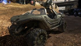Warthog