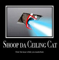 Shoop da Ceiling Cat by Little Lovely
