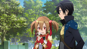 Kirito & Silica