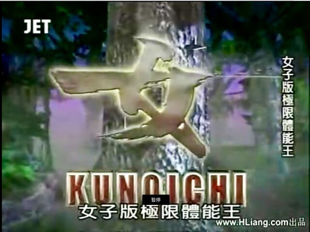 File:Kunoichilogo.jpg