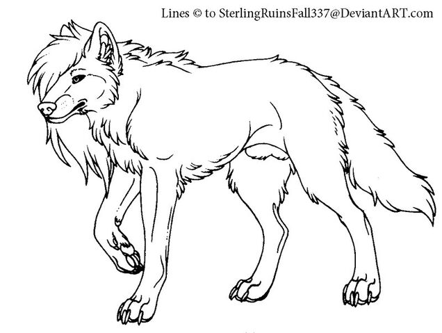 File:Long-haired wolf.jpg
