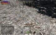 Wood Stick
