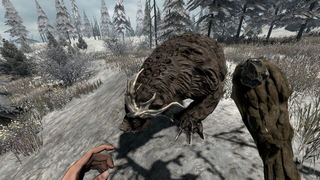 File:Dire Bear.jpg