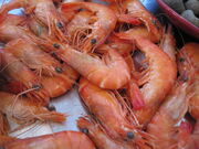 Crevettes-cuites.jpg