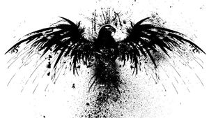 Raven pic 2