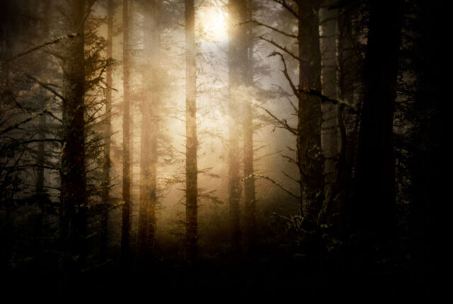 File:Twilight-background.jpg