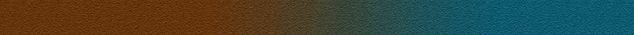 File:Skin.gif