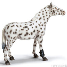 Knabstrupper Mare