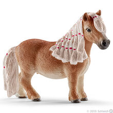 Mini Shetty Mare
