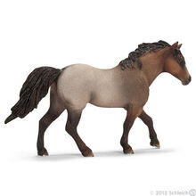 Quarter Gelding