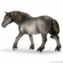 Percheron Mare