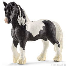 Tinker Stallion 2016